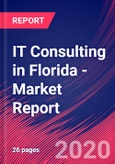 IT Consulting in Florida - Industry Market Research Report- Product Image