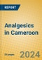 Analgesics in Cameroon - Product Thumbnail Image