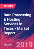 Data Processing & Hosting Services in Texas - Industry Market Research Report- Product Image