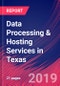Data Processing & Hosting Services in Texas - Industry Market Research Report - Product Thumbnail Image