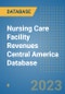 Nursing Care Facility Revenues Central America Database - Product Thumbnail Image