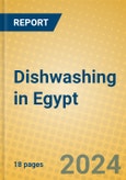 Dishwashing in Egypt- Product Image