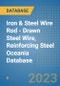 Iron & Steel Wire Rod - Drawn Steel Wire, Reinforcing Steel Oceania Database - Product Thumbnail Image