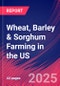 Wheat, Barley & Sorghum Farming in the US - Industry Market Research Report - Product Thumbnail Image