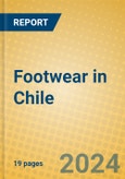 Footwear in Chile- Product Image