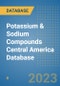 Potassium & Sodium Compounds Central America Database - Product Thumbnail Image