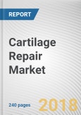 Cartilage Repair Market by Modality, Type, Application, and End User - Global Opportunity Analysis and Industry Forecast, 2018-2025- Product Image