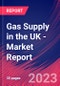 Gas Supply in the UK - Industry Market Research Report - Product Image