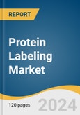 Protein Labeling Market Size, Share & Trends Analysis Report By Product (Reagents, Kits), By Method, By Application (Mass Spectrometry, Cell-based Assays), By Region, And Segment Forecasts, 2023 - 2030- Product Image