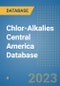 Chlor-Alkalies Central America Database - Product Thumbnail Image