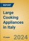 Large Cooking Appliances in Italy - Product Image