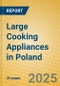 Large Cooking Appliances in Poland - Product Thumbnail Image