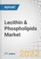 Lecithin & Phospholipids Market by Source (Soy, Sunflower, Rapeseed, Egg), Type (Fluid, De-Oiled, Modified), Application (Feed, Food (Confectionery Products, Convenience Food, Baked Goods) Industrial, Healthcare), Nature & Region - Global Forecast to 2027 - Product Image