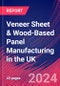 Veneer Sheet & Wood-Based Panel Manufacturing in the UK - Industry Market Research Report - Product Thumbnail Image