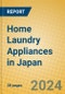 Home Laundry Appliances in Japan - Product Image