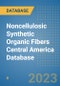 Noncellulosic Synthetic Organic Fibers Central America Database - Product Thumbnail Image