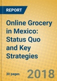 Online Grocery in Mexico: Status Quo and Key Strategies- Product Image
