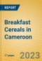 Breakfast Cereals in Cameroon - Product Image