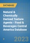 Natural & Chemically Derived Texture Agents - Food & Beverages Central America Database - Product Thumbnail Image