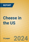 Cheese in the US- Product Image