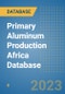 Primary Aluminum Production Africa Database - Product Thumbnail Image