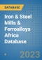 Iron & Steel Mills & Ferroalloys Africa Database - Product Thumbnail Image