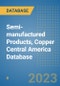 Semi-manufactured Products, Copper Central America Database - Product Thumbnail Image