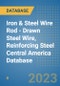 Iron & Steel Wire Rod - Drawn Steel Wire, Reinforcing Steel Central America Database - Product Thumbnail Image