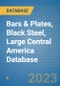Bars & Plates, Black Steel, Large Central America Database - Product Thumbnail Image