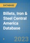Billets, Iron & Steel Central America Database - Product Thumbnail Image