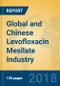 Global and Chinese Levofloxacin Mesilate Industry, 2018 Market Research Report - Product Thumbnail Image
