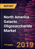 North America Galacto Oligosaccharide Market to 2027 - Regional Analysis and Forecasts By Type, Application and Country- Product Image