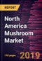 North America Mushroom Market to 2027 - Regional Analysis and Forecasts By Type; Form; Application - Product Thumbnail Image