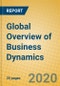 Global Overview of Business Dynamics - Product Thumbnail Image