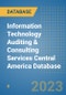 Information Technology Auditing & Consulting Services Central America Database - Product Thumbnail Image