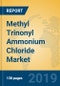 Methyl Trinonyl Ammonium Chloride Market Insights 2019, Analysis and Forecast Global and Chinese Market to 2024, by Manufacturers, Product Type, Application, Regions and Technology - Product Thumbnail Image