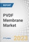 PVDF Membrane Market by Technology, Type (Hydrophobic, Hydrophilic), Application (General Filtration, Sample Preparation, Bead - Based Assays), End-Use Industry (Biopharmaceutical, Industrial, Food & Beverage), and Region - Global Forecast to 2027 - Product Image