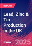 Lead, Zinc & Tin Production in the UK - Market Research Report 2015-2030- Product Image