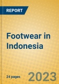 Footwear in Indonesia: ISIC 192- Product Image