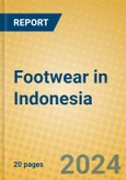 Footwear in Indonesia: ISIC 192- Product Image