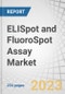 ELISpot and FluoroSpot Assay Market by Product (Assay Kit (T Cell and B Cell assay), Analyzer, Ancillary Products), Application (Transplants, Vaccine Development), End User (Hospitals & Clinical Labs, Research Institutes) - Global Forecast to 2027 - Product Image