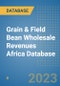 Grain & Field Bean Wholesale Revenues Africa Database - Product Image