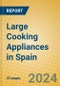 Large Cooking Appliances in Spain - Product Image