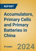 Accumulators, Primary Cells and Primary Batteries in China- Product Image