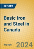 Basic Iron and Steel in Canada- Product Image