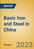 Basic Iron and Steel in China- Product Image
