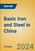 Basic Iron and Steel in China- Product Image