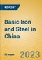 Basic Iron and Steel in China - Product Thumbnail Image