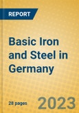 Basic Iron and Steel in Germany- Product Image