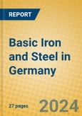 Basic Iron and Steel in Germany- Product Image